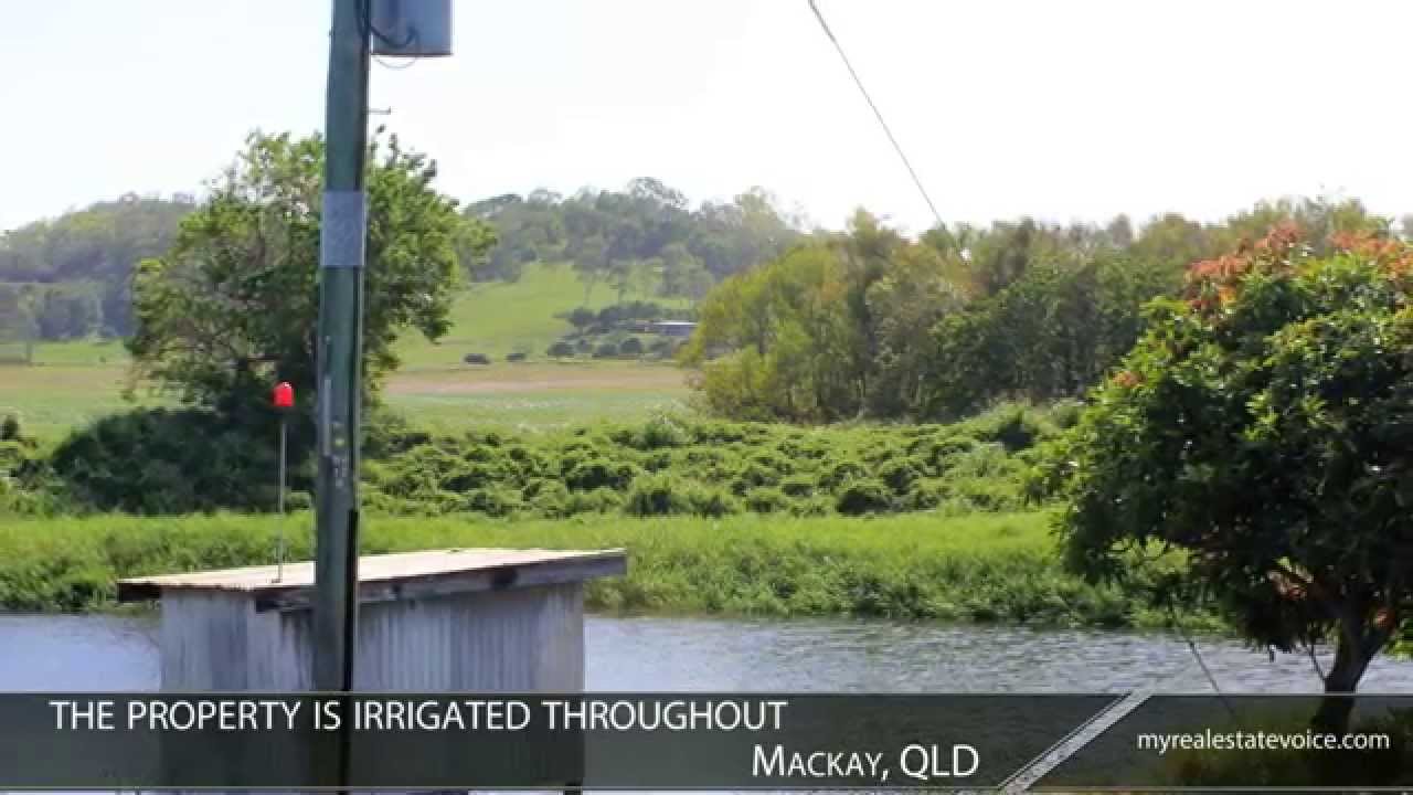 Coastal Sugar Cane Farm + Multiple Residences Property for Sale Mackay, QLD YouTube