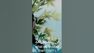 تلاوة خاشعة _ بصوت القارئ عبد العزيز العسيري تلاوة من (سورة القصص)🍃🕊