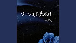 真心換不來深情（伴奏）