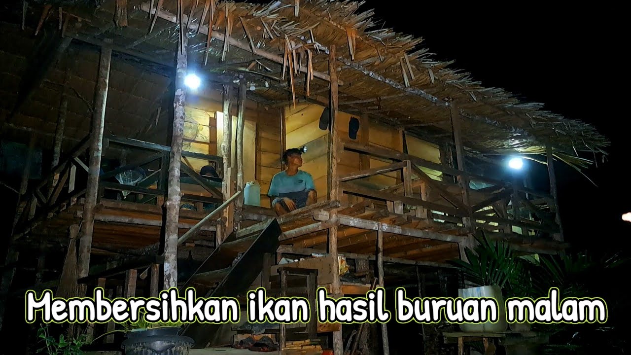 Kehidupan di kebun mengambil kayu dan berburu malam hari||JALAN KEHIUPAN Eps.234