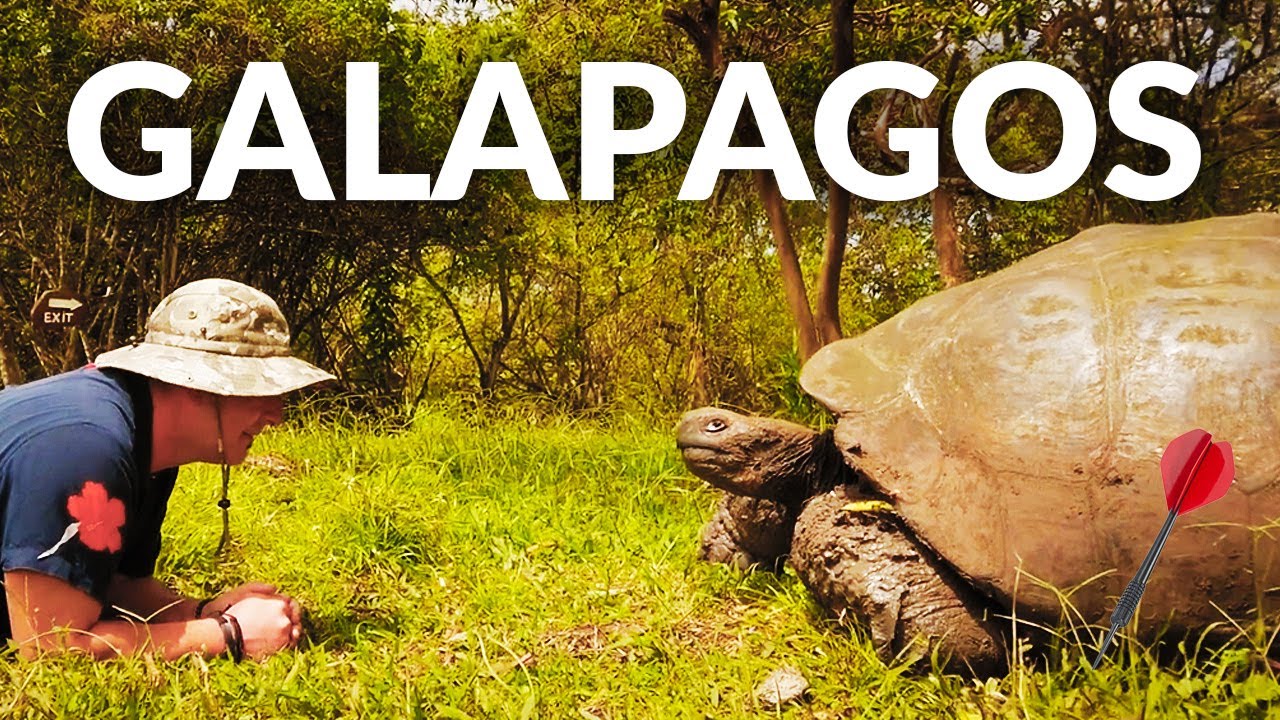 Galápagos — Travel by Dart — video thumbnail