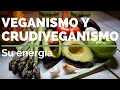 VEGANISMO Y CRUDIVEGANISMO: Su energía