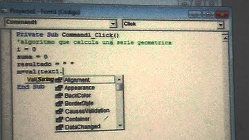 Visual Basic 6.0 - Serie Geometrica