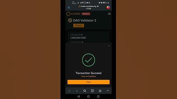 Delegate 101CORE to Validator