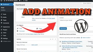 Celebrity How to Add Animations in WordPress 2025? Wealth