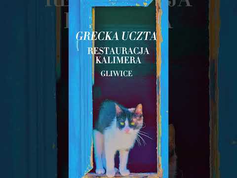 Restauracja w Gliwicach - Grecka Uczta - Hotel Economy #gliwice #shortsvideo #shorts Restauracja w Gliwicach - Grecka Uczta - Hotel Economy #gliwice #shortsvideo #shorts