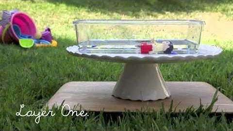 A Scavenger Hunt on Ice