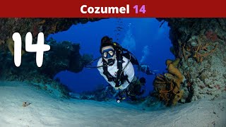 Cozumel part 14 - 2022 by Christy the Diver  38 views 1 year ago 1 minute