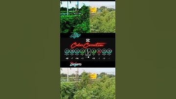 Color Grading Magic ✨ | Before vs After | Video Editing Transformation
