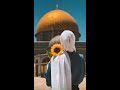 عيون فلسطين حالات واتس Eyes Of Palestine 