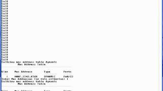 CCNA Lab 3 Switch Basics.qt