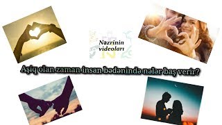 Aşiq olan zaman insan bədənində hansı proseslər baş verir?