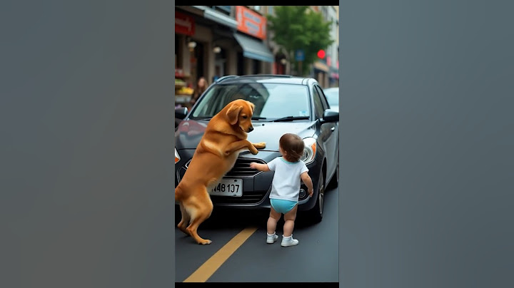 Loyal Dog's Heart Touching Rescue – Stops Car to Save Child’s Life