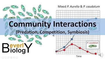 Community Interactions (Competition, Predation, Symbiosis)