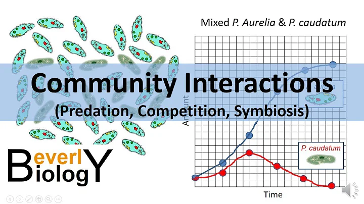 Community Interactions (Competition, Predation, Symbiosis)