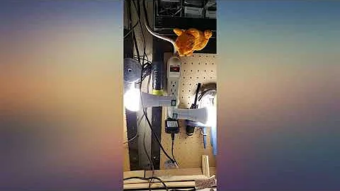 Boundery Emergency Power Failure LED Light Bulb, 4 Pack - Safety During Power review