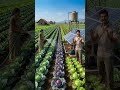 खेती में पानी की टेंशन खत्म लगाओ सोलर वॉटर पंप - इसकी लिंक बायो में देखे