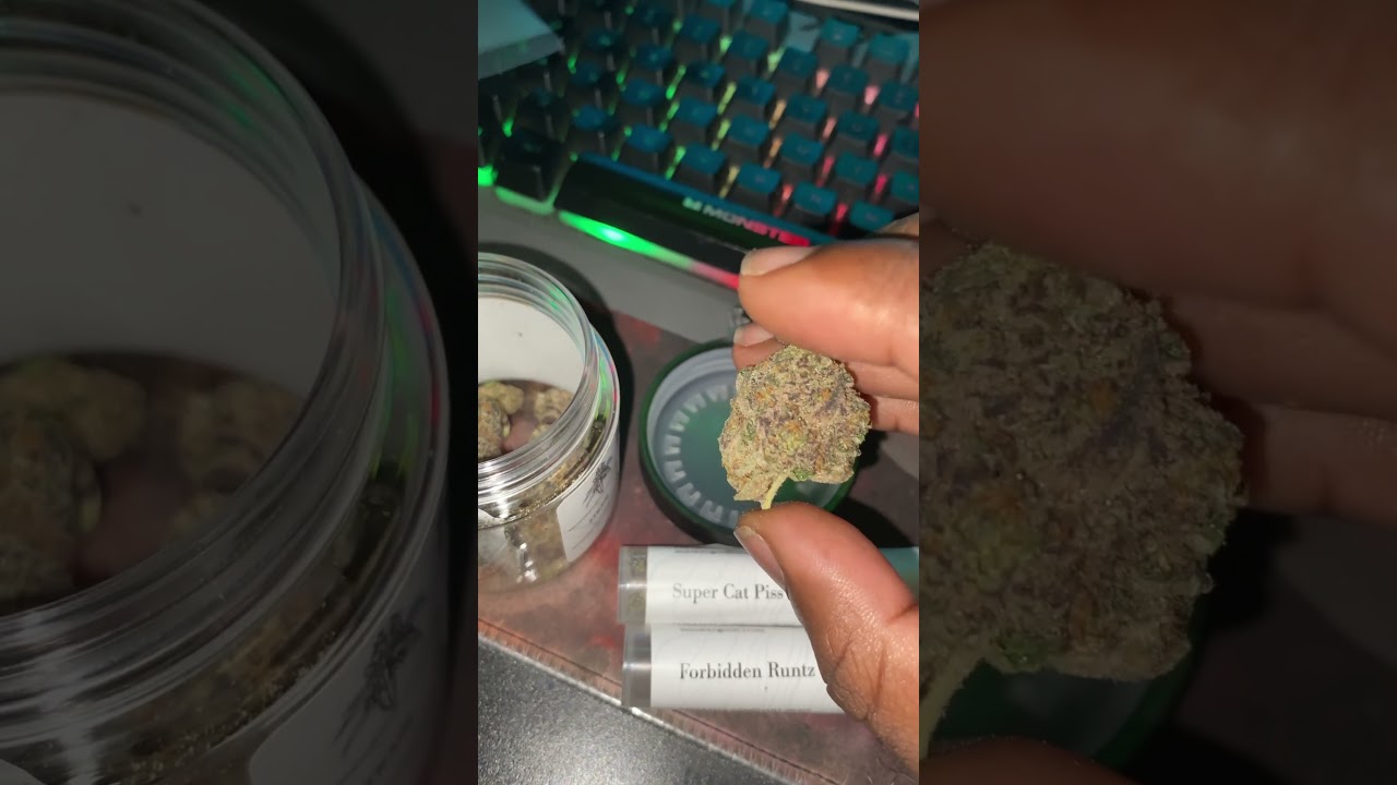 BLACK RUNTZ HMP.STORE THCA 🔥🔥🔥🔥😍😍😍😍😍 TASTE AND SMOKE WAS WONDERFUL!! 10 out 10