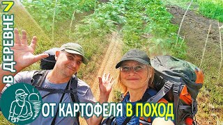 🏡 Замульчировали-Развалили Картофель И Отправились В Поход ⛺ Жизнь Гордеевых В Деревне - Влог 7