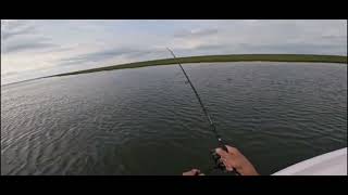 Doğru Malzeme Dogru Av