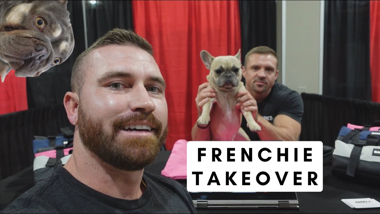 FRENCH BULL DOG EXPO / CONVENTION FRENCHIE TAKEOVER YouTube