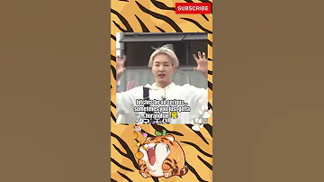 [Seventeen Hoshi] Endless HORANGHAE agenda!🐯