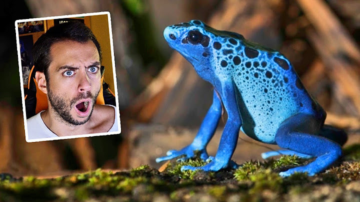 ⚠️ REACCIONANDO A LOS 10 ANIMALES MÁS PELIGROSOS DEL MUNDO ⚠️