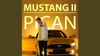Mustang II - Pican