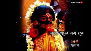 Maayer Paye Joba🌺Hoye | মায়ের পায়ের জবা🌺হয়ে | Shyama Sangeet Status | Maa Kali WhatsApp Status |🥰🌺