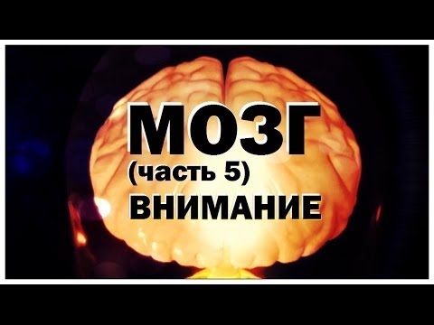 Галилео. Мозг (часть 5): Память