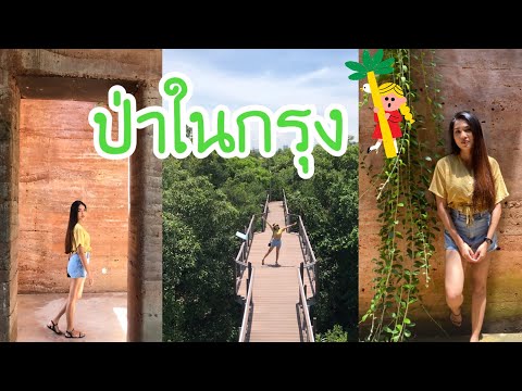 พาเที่ยว : ป่าในกรุง// Green Season ในกรุงเทพ ศูนย์การเรียนรู้ธรรมชาติ