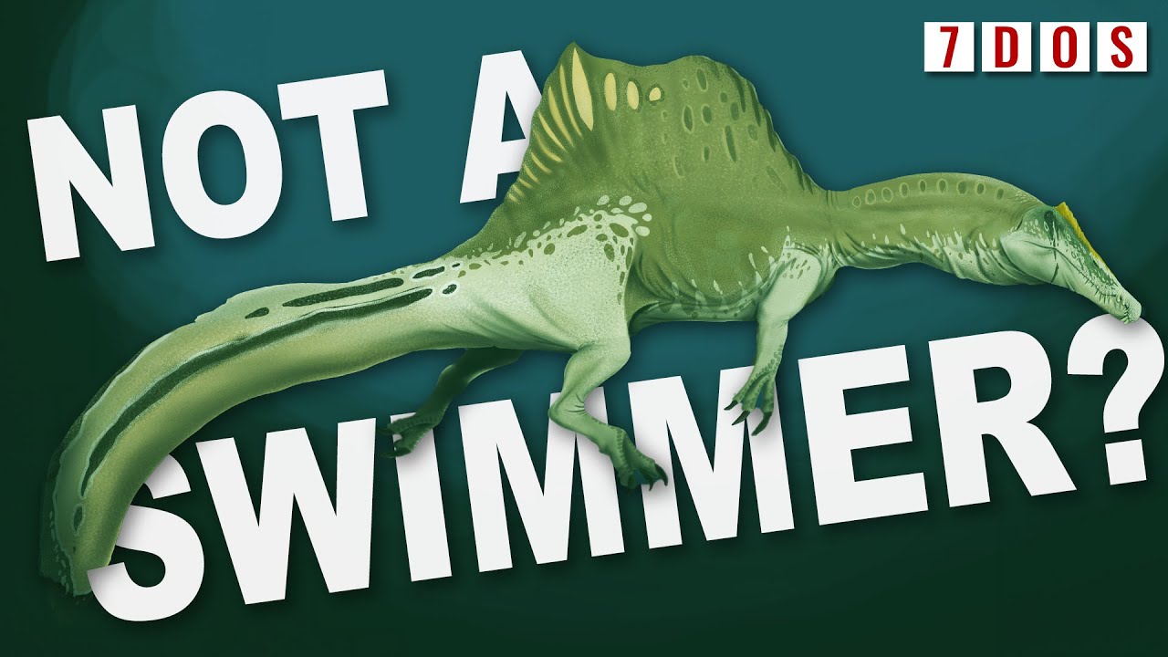 Spinosaurus Found to NOT be a Swimming Dinosaur Again (again) | 7 Days of Science