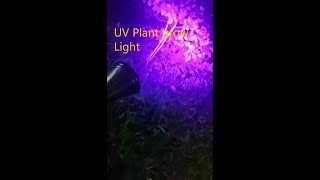 solar uv 405nm plant growth garden spotlights 4 LED Wall/Landscape Solar Lights with Adjustable
