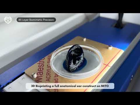 Bioprinting an 85-Layer Anatomical Ear Construct | Avay MITO Walkthrough & Features