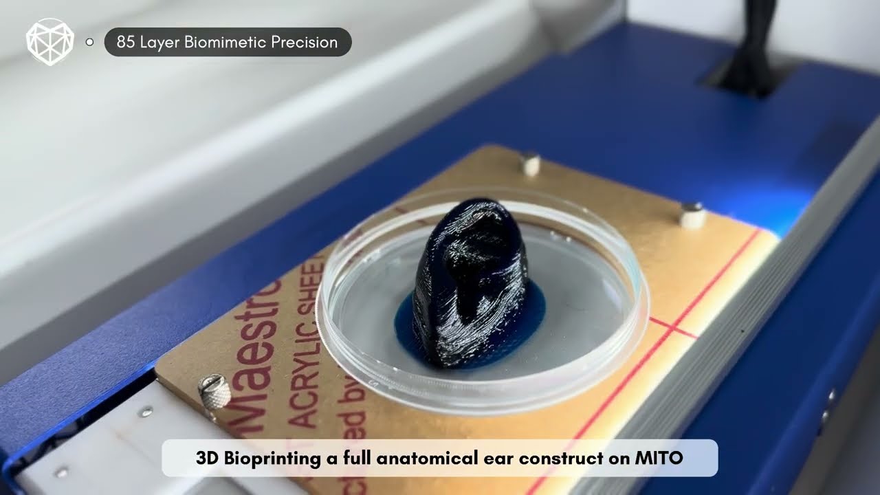 Bioprinting an 85-Layer Anatomical Ear Construct | Avay MITO Walkthrough & Features