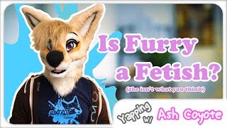 Is furry a fetish? (the answer isn't what you think) - Yapping with Ash