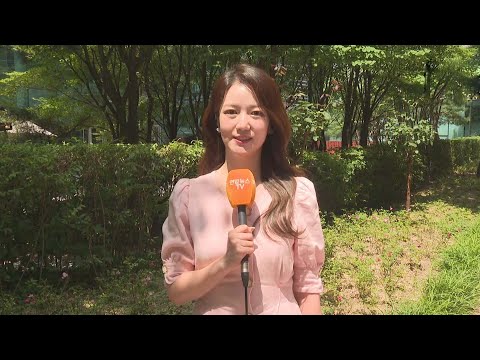 [날씨] 본격 무더위, 곳곳 폭염경보…강한 소나기 주의 / 연합뉴스TV (YonhapnewsTV)