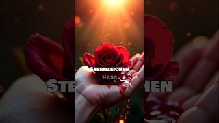 Warum Manche Sternzeichen Hass Mit Liebe Verwechseln