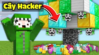 Minecraft Bedwars, Nhưng Cây Hacker Cho Bạn Ngẫu Nhiên Đồ Siêu Cấp Troll Noob Team