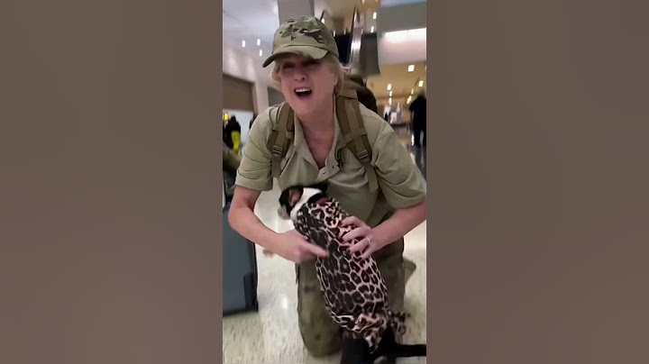 Heartwarming Dog Reunions With Soldiers Returning Home After Years Apart | Emotional Moments