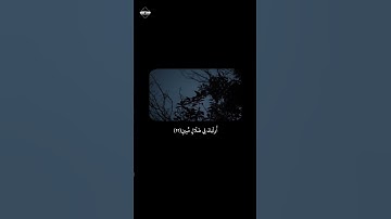 أفمن شرح الله صدره للإسلام فهو على نور من ربه فويل للقاسية قلوبهم من ذكر الله | القارئ: أحمد طالب