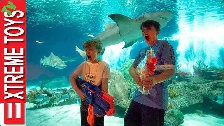Teleport Trouble Part 2! Nerf Battle in the Aquari...