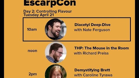 How to Prevent Diacetyl in your Beer (Forced Diacetyl Test)