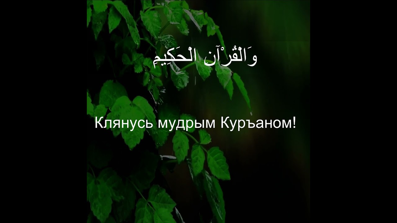 Коран Сура Ясин | 36:2  | Чтение Корана с русским переводом | Quran Translation in Russian
