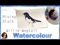 How to paint a bird in watercolor // How to mix Black Watercolor Paint