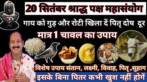 21 सितंबर सर्वपितृ अमावस्या | श्राद्धपक्ष अमावस्या विशेष उपाय | पित्रो के शांति का आखिरी मौका #shiv 