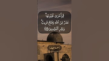 سورة الصف الآية ١٢ و ١٣ بصوت الشيخ محمد صديق المنشاوي
