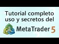 Tutorial MT5 Menu Ver - Terminal, Market Watch, Navegador, Datos