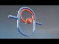 #090 Eccentric with Elongated Yoke – 507 Mechanical Movements 3D Animation