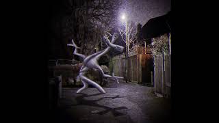 Night Walk In The Void